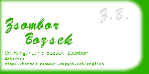 zsombor bozsek business card